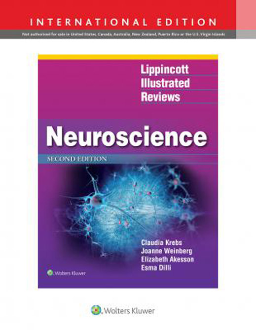 Neuroscience, International Edition (Lippincott Illustrated Reviews Series)