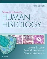 Cover Stevens & Lowes Human Histology