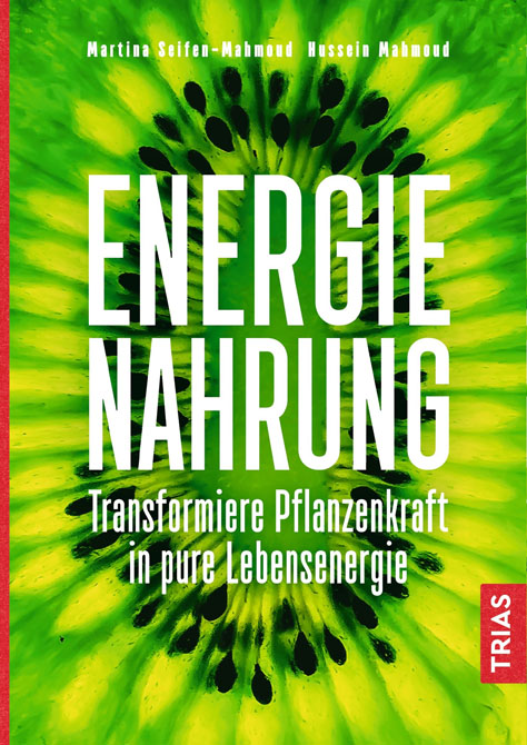 Energie-Nahrung