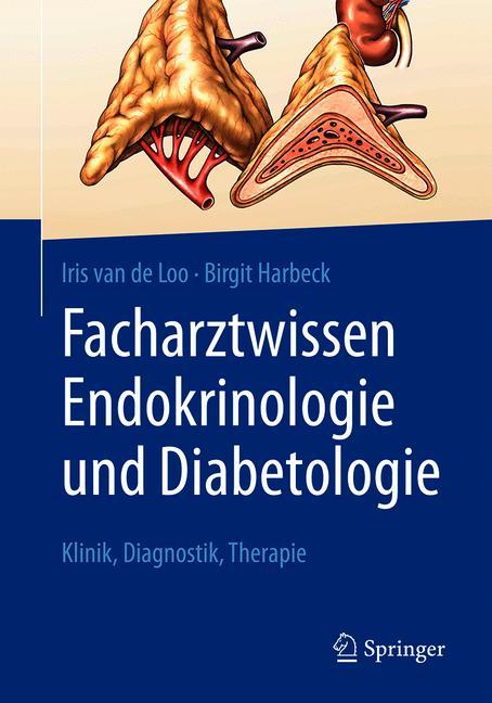 Facharztwissen Endokrinologie und Diabetologie