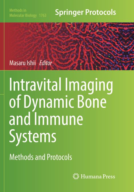 Intravital Imaging of Dynamic Bone and Immune Systems: Methods and Protocols