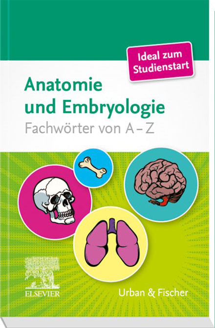 Anatomische Fachwörter von A-Z