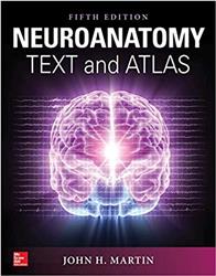 Cover Neuroanatomy - Text and Atlas