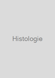 Cover Histologie & Immunologie der kavitätenbildenden Osteolysen des Kieferknochens