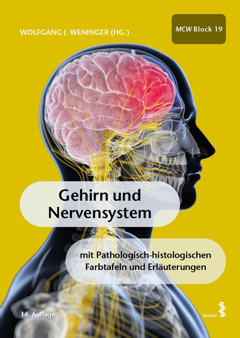 Gehirn und Nervensystem