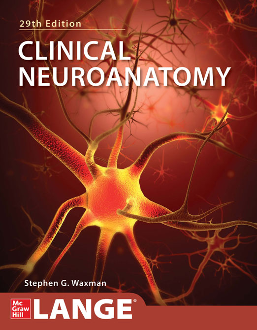 Clinical Neuroanatomy