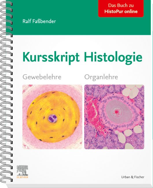 Kursskript Histologie - Gewebelehre, Organlehre