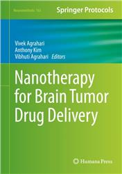 Cover Nanotherapy for Brain Tumor Drug Delivery
