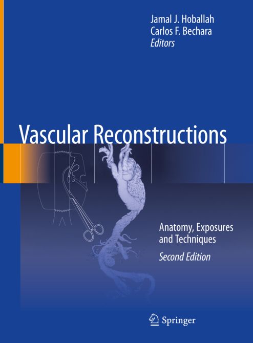 Vascular Reconstructions