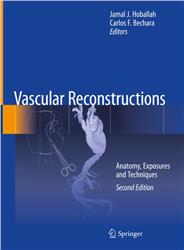 Cover Vascular Reconstructions