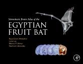 Cover Stereotaxic Brain Atlas of the Egyptian Fruit Bat