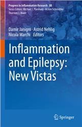Cover Inflammation and Epilepsy: New Vistas