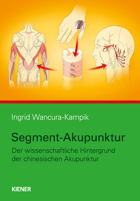 Segment-Akupunktur