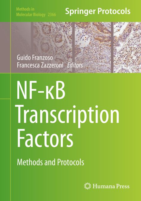 NF-B Transcription Factors