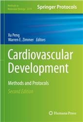 Cover Cardiovascular Development