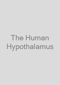 The Human Hypothalamus