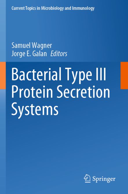 Bacterial Type III Protein Secretion Systems