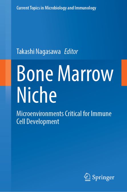 Bone Marrow Niche