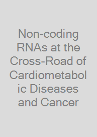 Cover Non-coding RNAs at the Cross-Road of Cardiometabolic Diseases and Cancer