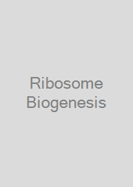 Cover Ribosome Biogenesis