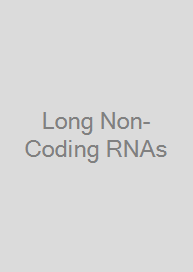 Cover Long Non-Coding RNAs