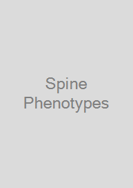 Cover Spine Phenotypes