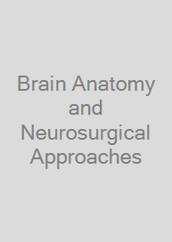 Brain Anatomy and Neurosurgical Approaches