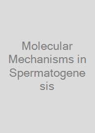 Cover Molecular Mechanisms in Spermatogenesis