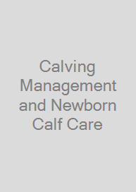 Cover Calving Management and Newborn Calf Care