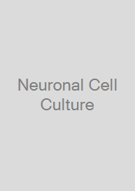 Neuronal Cell Culture