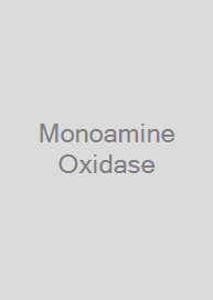 Cover Monoamine Oxidase