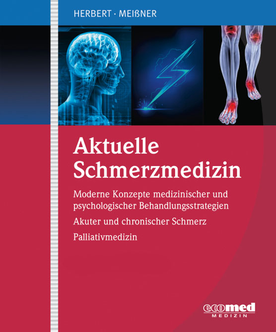 Aktuelle Schmerztherapie - Grundwerk zur FORTSETZUNG