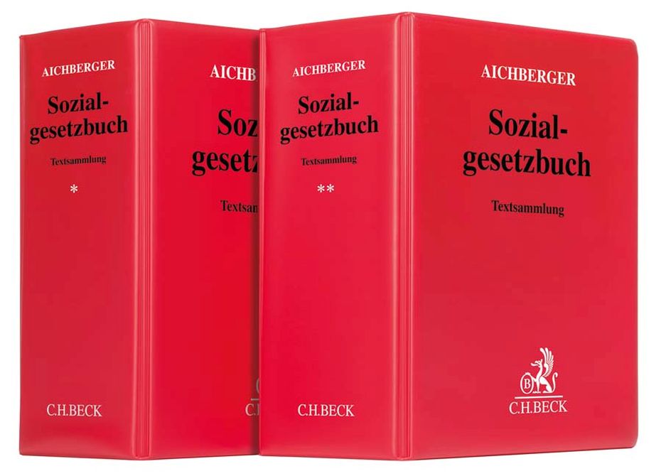 Sozialgesetzbuch - Fortsetzungswerk im Ordner