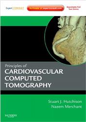 Cover Principles of Cardiac and Vascular Computed Tomography