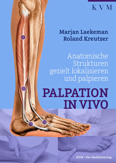 Palpation in Vivo