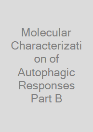 Molecular Characterization of Autophagic Responses Part B
