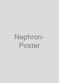 Nephron-Poster