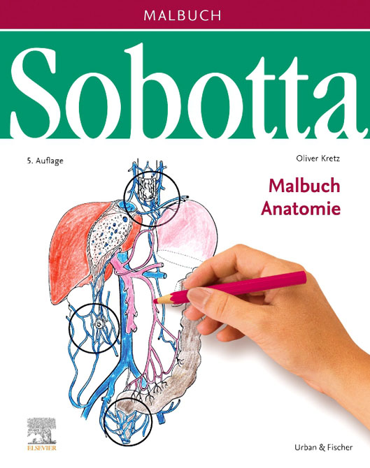 Sobotta Malbuch Anatomie