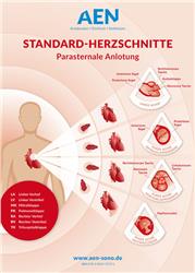 Cover Standard-Herzschnitte Echokardiografie / Poster