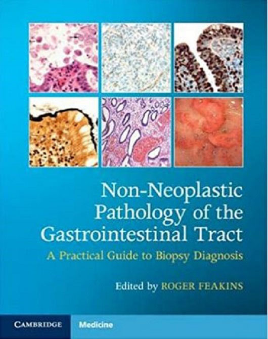 Non-Neoplastic Pathology of the Gastrointestinal Tract