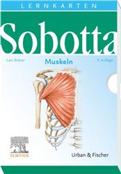 Cover Sobotta Lernkarten Muskeln