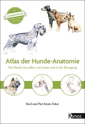 Atlas der Hundeanatomie