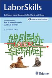 Cover LaborSkills