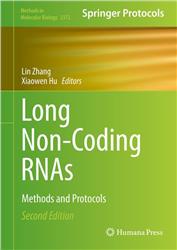 Cover Long Non-Coding RNAs