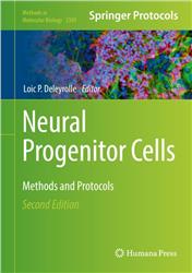 Cover Neural Progenitor Cells