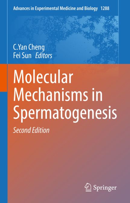 Molecular Mechanisms in Spermatogenesis