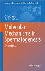Cover Molecular Mechanisms in Spermatogenesis