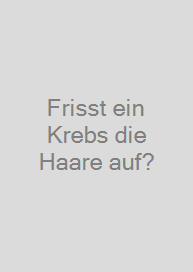 Frisst ein Krebs die Haare auf?