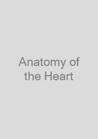Anatomy of the Heart