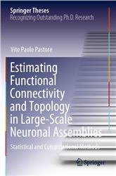Cover Estimating Functional Connectivity and Topology in Large-Scale Neuronal Assemblies